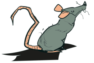 La Ratta Razione
